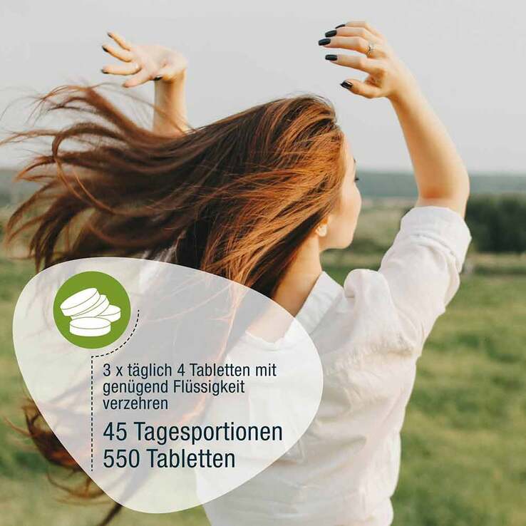 GSE Spiruline Bio 500 mg 550 Comprimés
