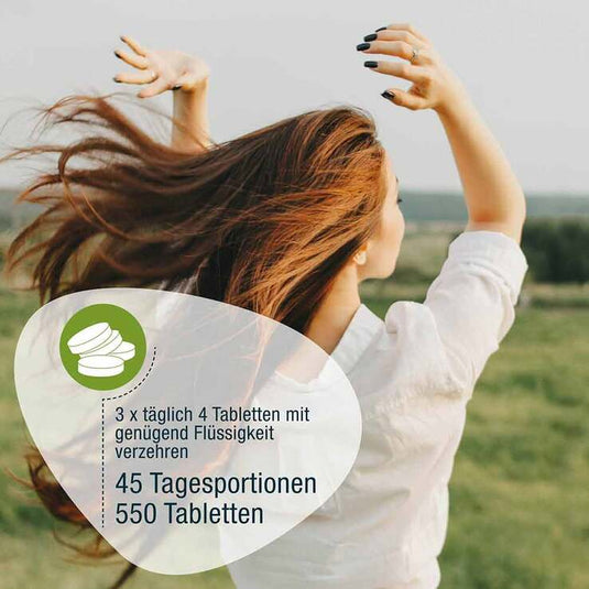 جي إس إي سبيرولينا عضوية 500 مجم 550 قرص - GSE Organic Spirulina 500 mg 550 Tablets