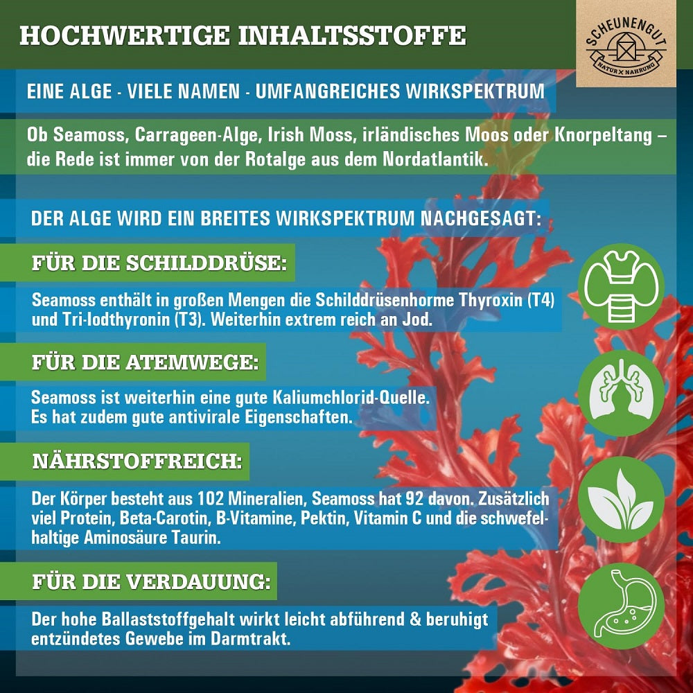 SCHEUNENGUT Irish Sea Moss 120 Capsules