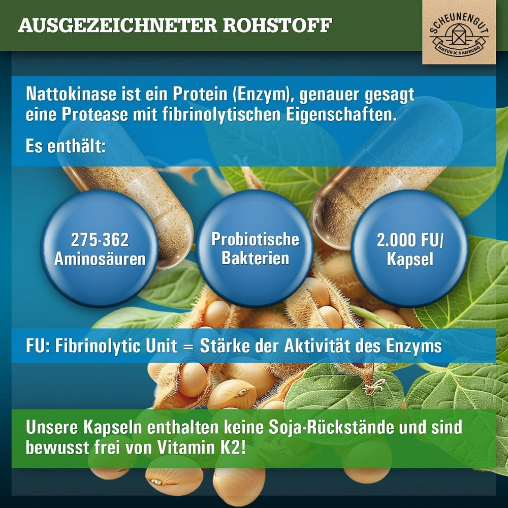 SCHEUNENGUT Nattokinase 100 mg 240 Capsules