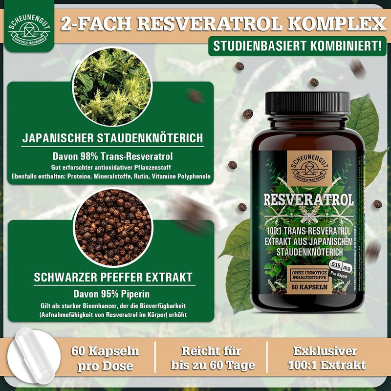 حميل الصورة في عارض المعرض ، ريسفيراترول طبيعي 60 كبسولة - SCHEUNENGUT Resveratrol 60 Capsules
