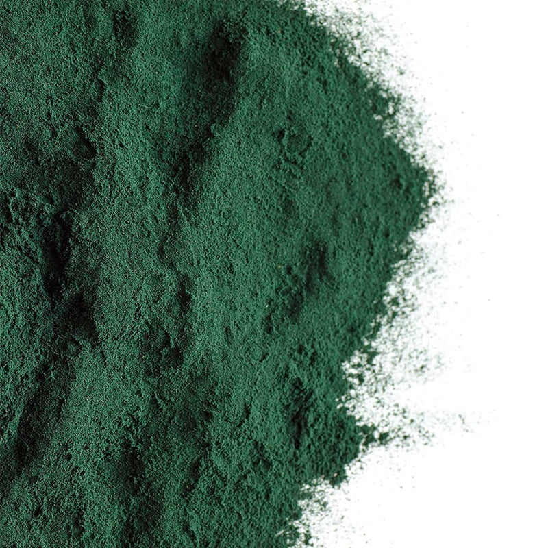 Load image into Gallery viewer, كلوريلا عضوية بودرة 200 جرام - GSE BIO Chlorella Powder 200 gm - GermanVit - Saudi arabia
