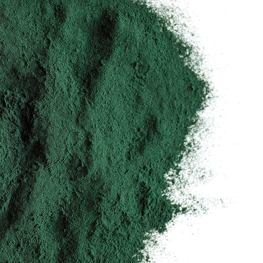 كلوريلا عضوية بودرة 200 جرام - GSE BIO Chlorella Powder 200 gm - GermanVit - Saudi arabia
