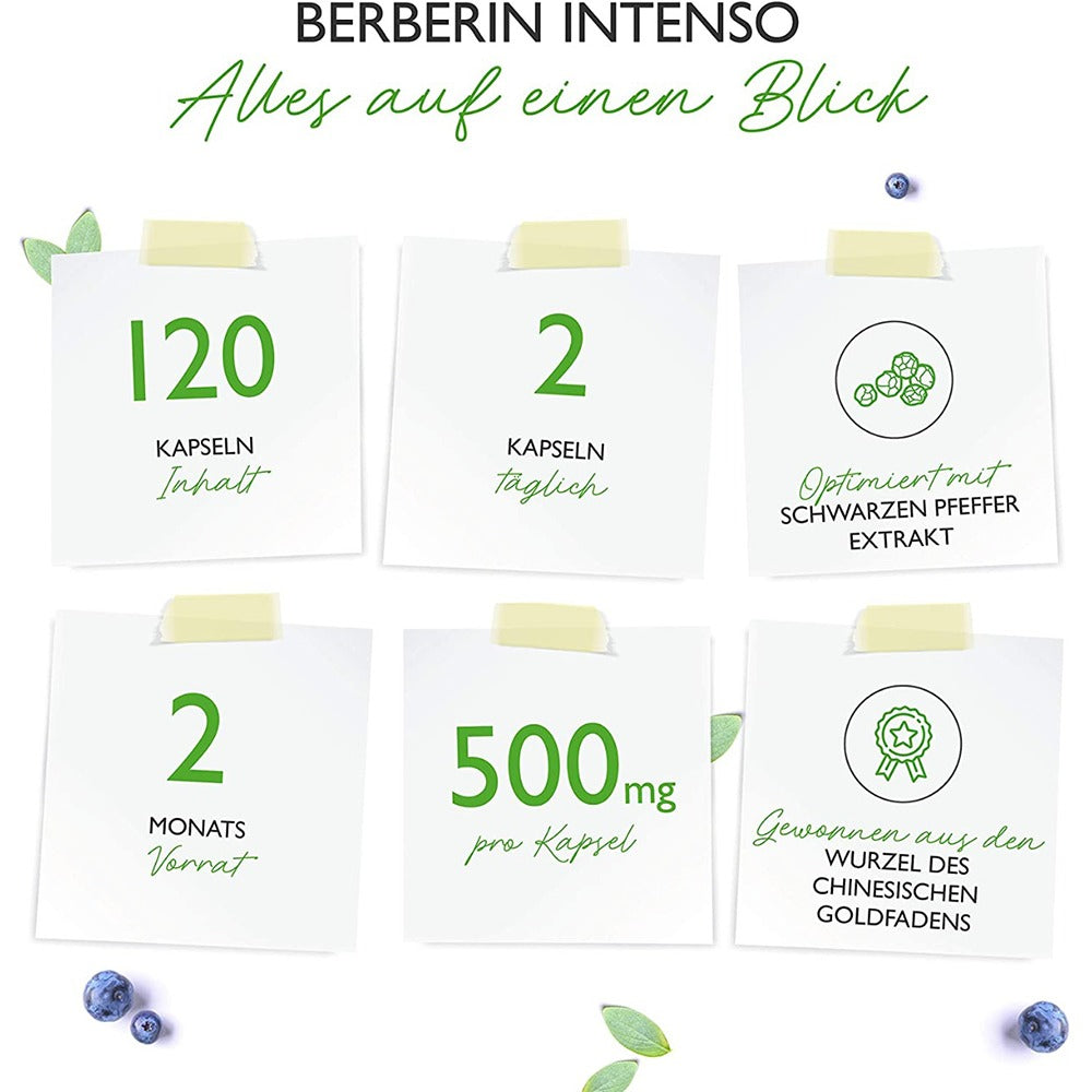 مستخلص البربرين 500 ملج 120 كبسول نباتي - Vit4ever BERBERINE Extract 500 mg 120 Vegan Caps - GermanVit - Saudi arabia