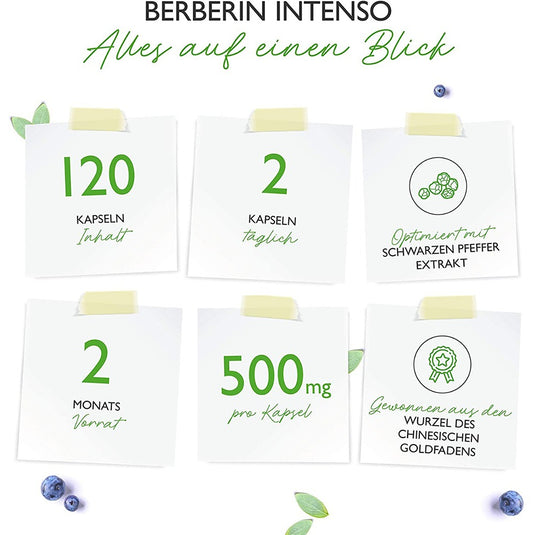 مستخلص البربرين 500 ملج 120 كبسول نباتي - Vit4ever BERBERINE Extract 500 mg 120 Vegan Caps - GermanVit - Saudi arabia