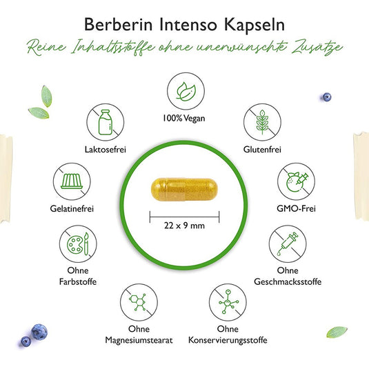 مستخلص البربرين 500 ملج 120 كبسول نباتي - Vit4ever BERBERINE Extract 500 mg 120 Vegan Caps - GermanVit - Saudi arabia