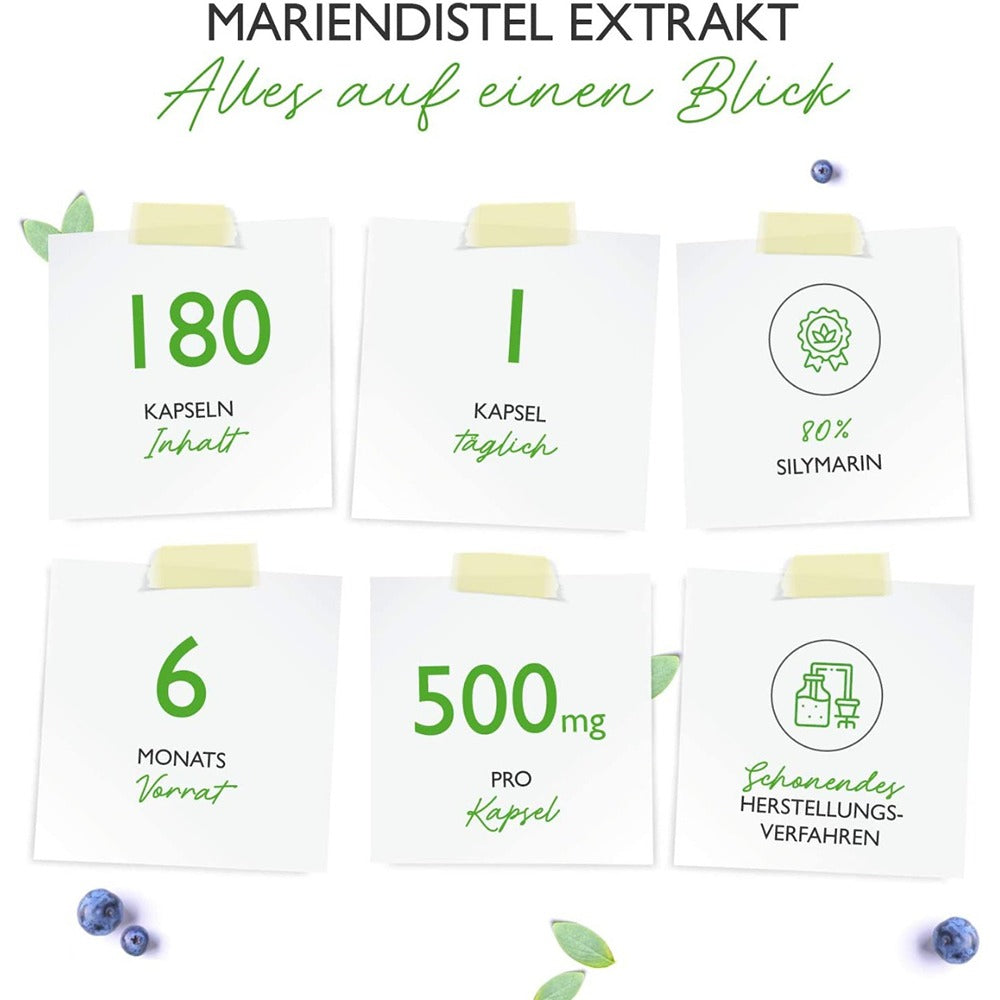 حليب الشوك 500 ملج 180 كبسولة - Vit4ever Milk Thistle Extract 500 mg 180 Caps - GermanVit - Saudi arabia