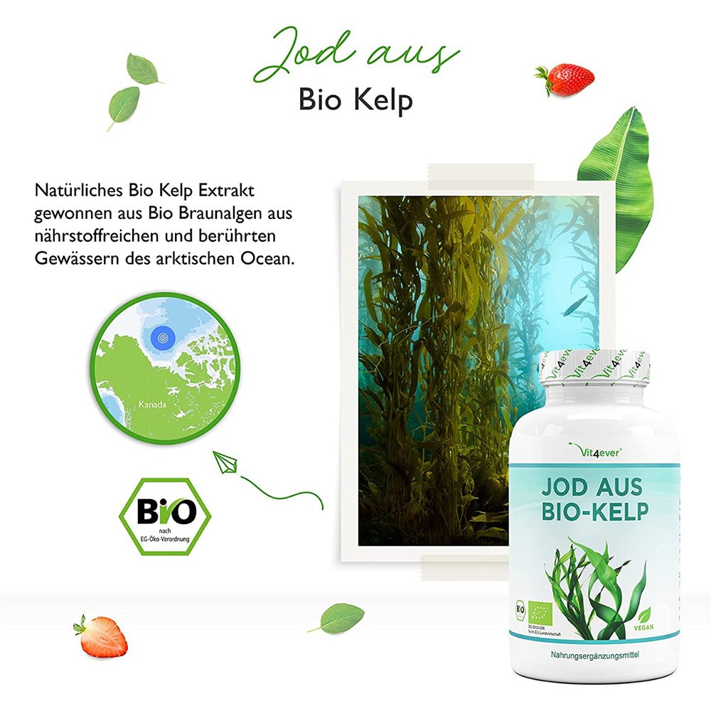 أقراص اليود الطبيعي 200 ميكج 365 قرص نباتي - ‎Vit4ever Natural IODINE from Organic Kelp 200 μg 365 Vegan Tabs - GermanVit - Saudi arabia