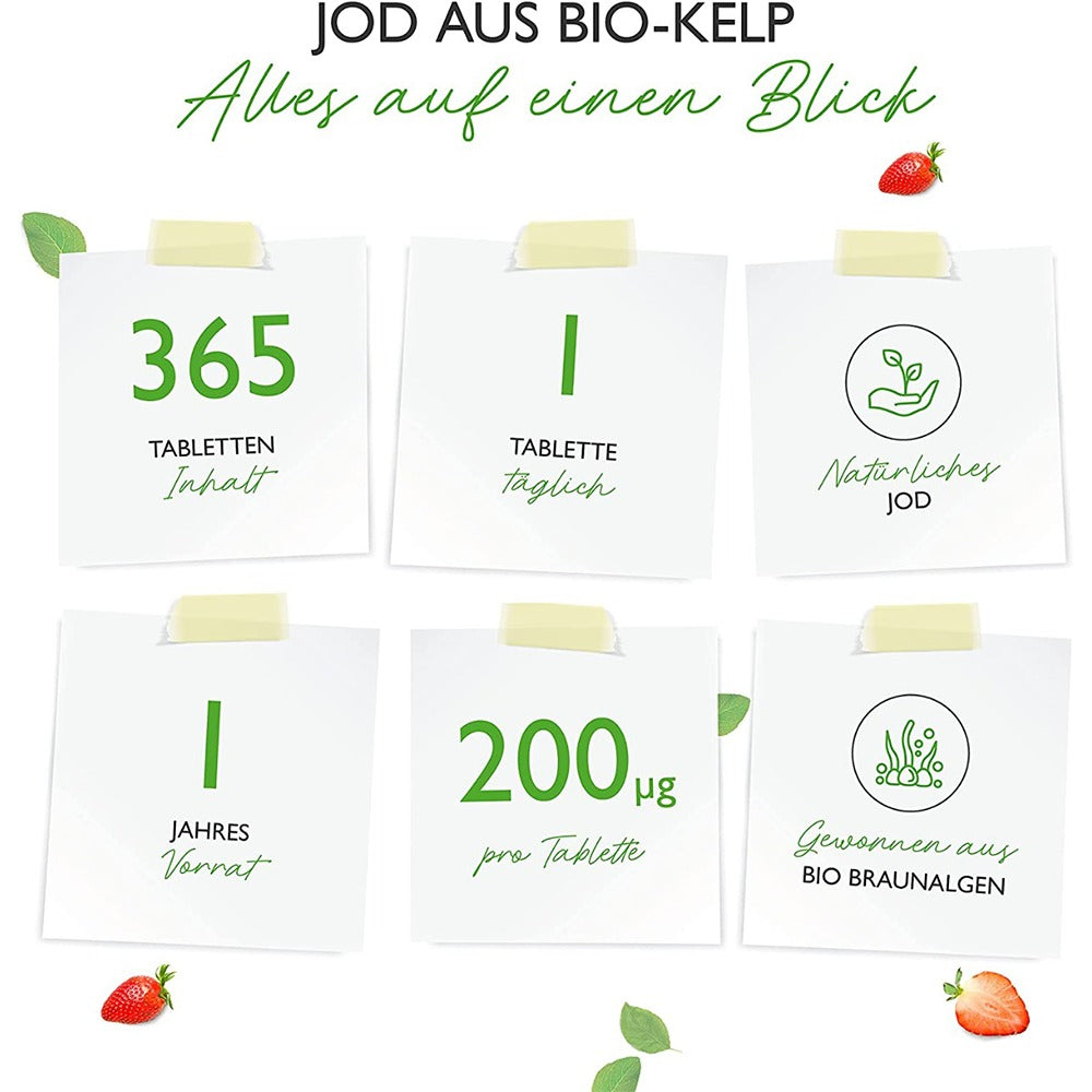 أقراص اليود الطبيعي 200 ميكج 365 قرص نباتي - ‎Vit4ever Natural IODINE from Organic Kelp 200 μg 365 Vegan Tabs - GermanVit - Saudi arabia