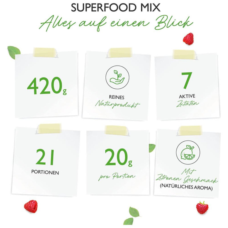 حميل الصورة في عارض المعرض ، سوبر فوود ميكس بودرة 420 جرام - Vit4ever SUPERFOOD MIX Powder 420 gm
